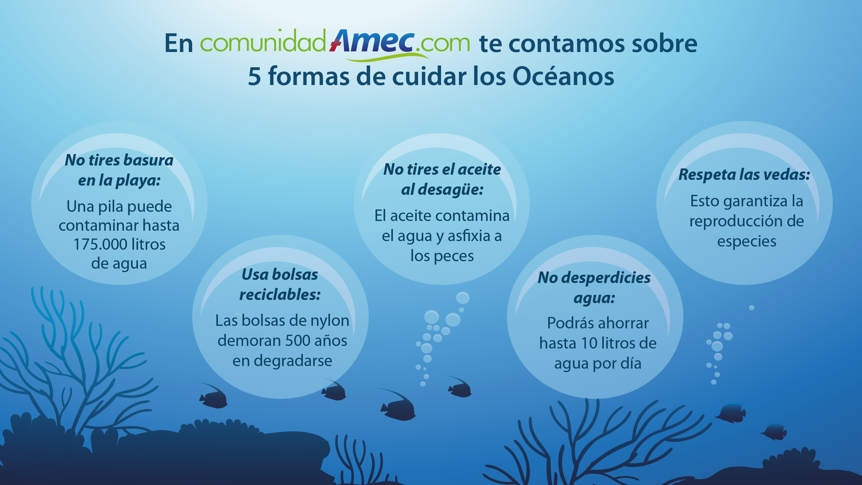 Amec Acompañantes Recreacion Y Bienestar 5027